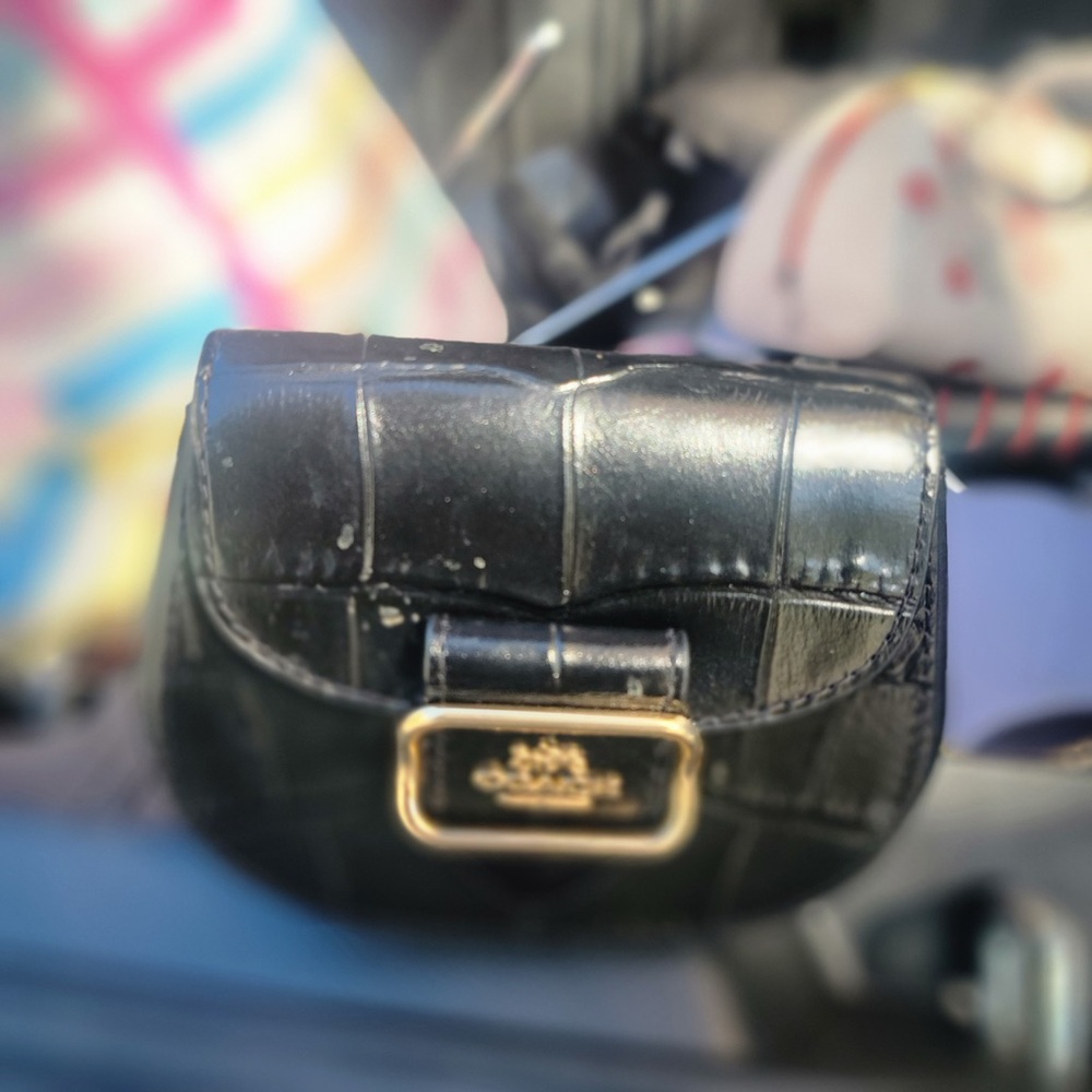 Elegant Black Croc-Embossed Mini Bag